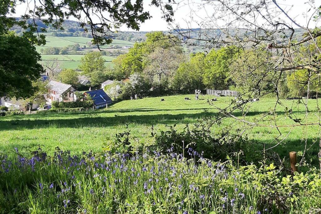 The Roost - A Bird'S Eye View In The Countryside Διαμέρισμα Cullompton Εξωτερικό φωτογραφία